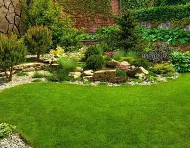 Landscape Design in Forest Lake