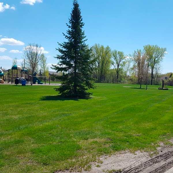 Professional Landscape Design in Stillwater, MN